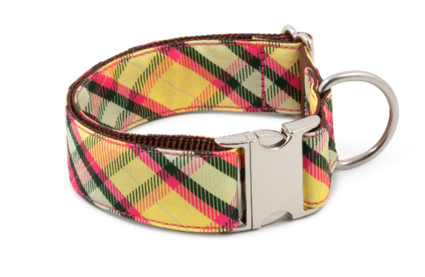 Brott Barcelona - MOLLET (New  Collection)