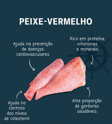 Bites Red Fish (100% Peixe fresco)🐟 Proteícos 60,4%, Ricos em Ómega 3: 9,2% Muito rico em Vitaminas A, D e B12
