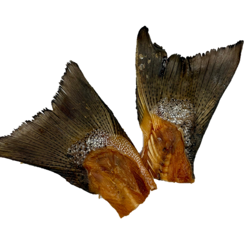 Salmon Tails - Rabos de salmón con carne - Grande (M/L) 8-12cm 🐠 Fuente de Omega 3. Mejora el corazón, la vista y las articulaciones