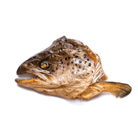 Salmon Head - Cabeça Salmão em METADE PURO ÓLEO SALMÃO! Super parte nutritiva do salmão
