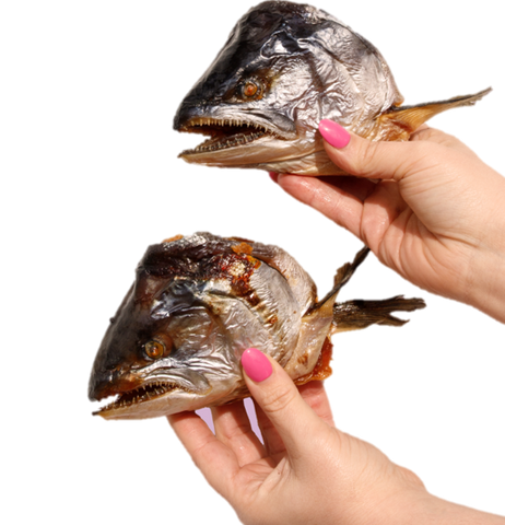 Salmon Head - Cabeça Salmão (em metades) PURO ÓLEO SALMÃO! Super parte nutritiva do salmão