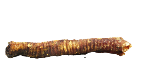 Lamb Trachea (Traqueia Cordeiro) (recheável) 15-21 cm 🐏
