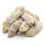 Pata Coelho Prebiótica (Rabbit Feet with fur) (M) 🐰 (Antiparasitário Natural, digestão, DENTAL e proteico)