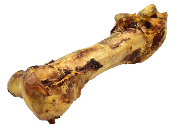 DINO BONE - Osso Avestruz DINOSSAURUS 35 cm (XL) Proteína Hipolaergénica Ideal para cães grandes ou médios de mordedura forte