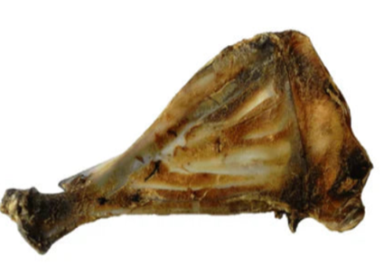 Omoplata Veado (M/L) (Proteína hipoalergénica)