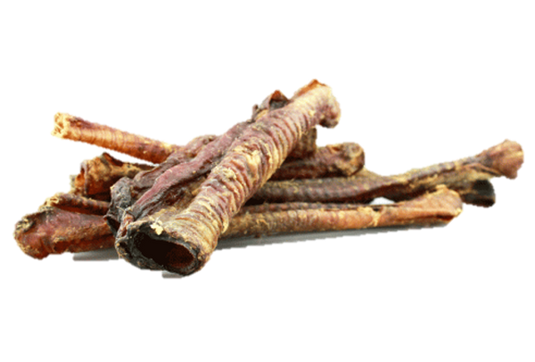 Lamb Trachea (Traqueia Cordeiro) (recheável) 15-21 cm 🐏