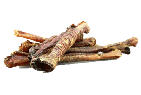 Lamb Trachea (Traqueia Cordeiro) (recheável) 15-21 cm 🐏
