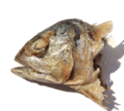 Cabeças Cavala pequenas (Mackerel Heads) (ideal também para gatos)