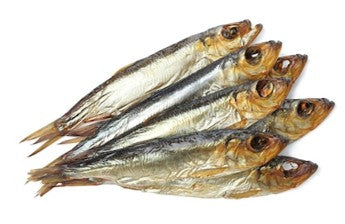 Arenque Premium Inteiro (S) / Whole Herring 🐟 5-12 cm (Fonte de Ómega 3 e proteína digestível)