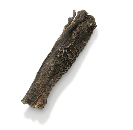 Tiras Tripa Verde Vaca Extra (Probiótico: Melhora Digestão & Defesas Fortes e anti-diarreia) 🐂