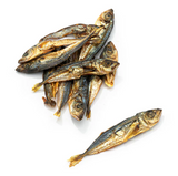 Espadín del Atlántico (S) 🐟 5-8 cm