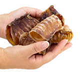 Traqueia Bovina Curta 6 cm (recheável)