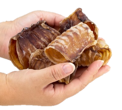 Traqueia Bovina Curta 6 cm (recheável)