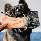 Salmon Tails - Rabo Salmão com carne - Grande (M/L) 8-12cm 🐠 Dental. Fonte Ómega 3. Melhora coração, visão e articulações