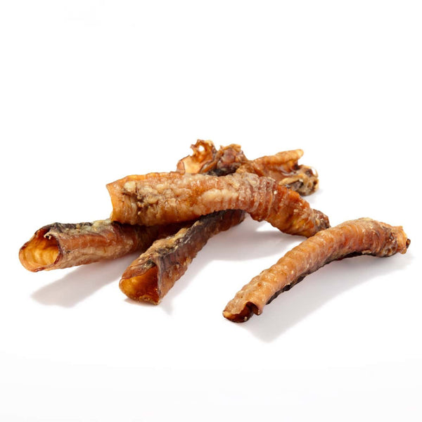 Traqueia Cordeiro Longa (recheável) 15-21 cm 🐏