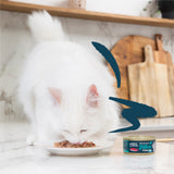 Edgard & Cooper - Fillets Tuna with squid (filetes Atum com lulas em caldo nutritivo)