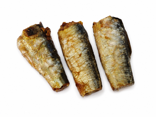 Lombos Sardinha (Sardine Loins)🐟 Deliciosos e nutritivos!