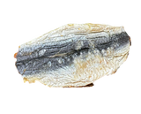 Sardine Loins (lombos inteiros sardinha)🐟