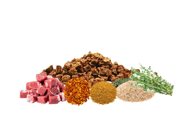 Mini Bites LOW CARB & FIBRE (Frango & Plantas Medicinais)🐔 Reduzido teor hidratos carbonos, baixo indice glicémico e rico em fibra