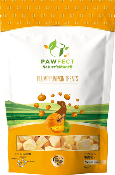 Pawfect - Treats 100% fresca- Plump Pumpkin 🎃 (Freeze dried)