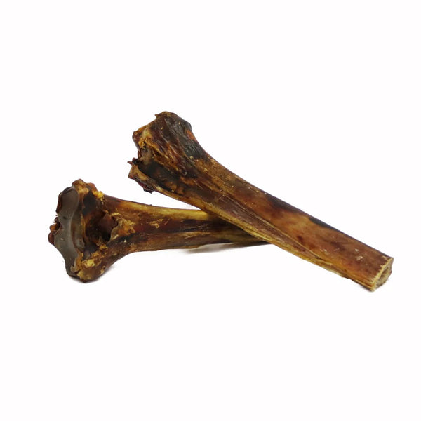 META BONE - Osso Avestruz  METATARSUS 20-25 cm (L)