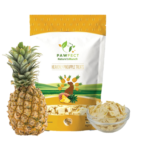 🍍Pawfect - Snacks FRESH FREEZE DRIED Heavenly Sweet Pineapple (Anti-Inflammatory Booster) (Anti-inflamatório contra dores e doenças)
