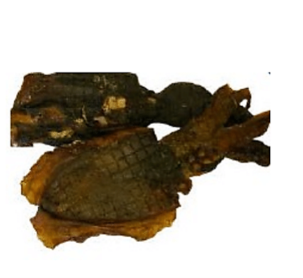 Mini Chocos (ricos en taurina, colágeno, condroitina y omega 3) EXCLUSIVO