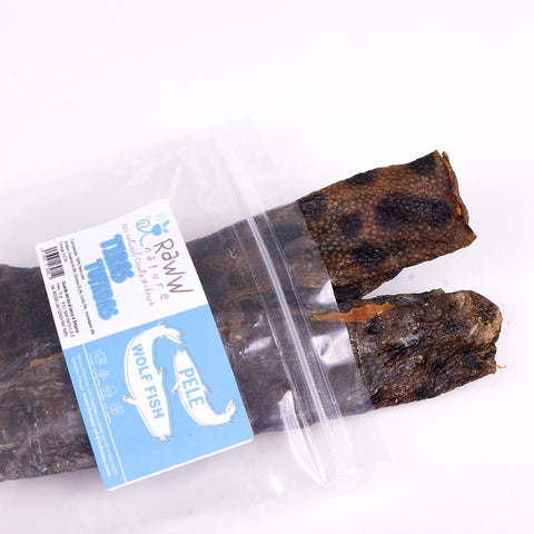 DELICIA!!! Crunchy Flat Wolfish Skin (Pele TUFADA Peixe Lobo)  15-17 cm (efeito mais crocante)🐠 Dose Ómega 3 natural e COLAGÉNIO