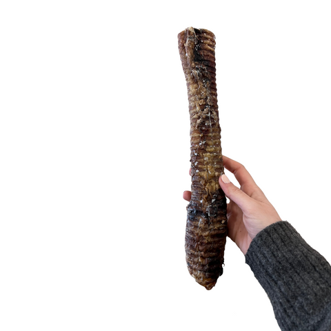 Traqueia Bovina Extra Longa 40 cm (recheável) 🐂