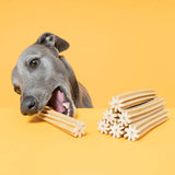 Sticks Dental CHEDDAR CHEESE (Irresistível queijo)