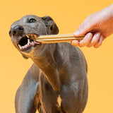 Sticks Dental CHEDDAR CHEESE (Irresistível queijo)