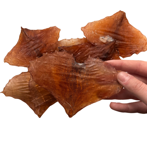 Asa de Lula 🦑 (Superfood. Muito rico em Taurina, Colagénio e Condroitina para Coração, Visão, Imunidade e Articulações! Textura elástica e desafiante