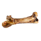 DINO BONE - Osso Avestruz DINOSSAURUS 35 cm (XL) Proteína Hipolaergénica Ideal para cães grandes ou médios de mordedura forte
