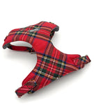 Brott Barcelona - TREMP (Soft Body Harness)