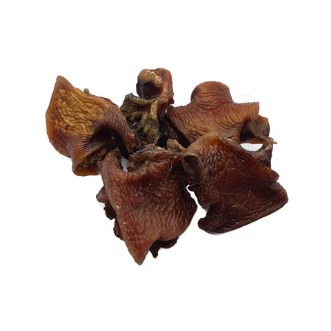 Collagen Beef Snout (Nariz Bovino Extra Colagénio) 🐂 (Rico em Colagénio e Glucosamina. Melhora pele, cabelo, unhas ee articulações)