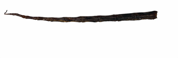 Rabo de Boi Longa 20-30 cm
