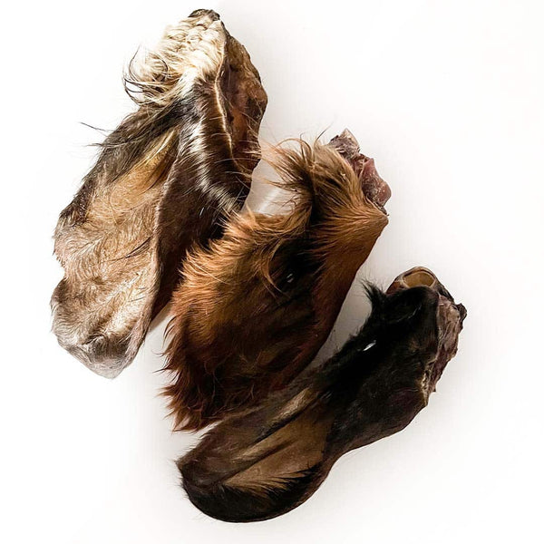 Orelhas Boi com pelo Probiótica 🐂 (L) 20-25cm (Auxilia digestão. Antiparasitário natural)
