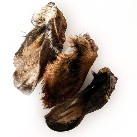 Orelhas Boi com pelo Probiótica 🐂 (L) 20-25cm (Auxilia digestão. Antiparasitário natural)