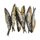 Sardinha do Atlântico 12-18cm🐟 O super peixe