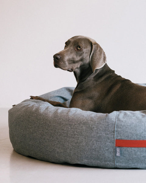 Brott  - EXTREME CONFORT & EASY CLEANING Round Bed URBAN GREY (Tecido inovador: cama anti-alérgica de fácil limpeza!)