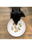 Peixe Superfood - Lata de Mexilhão de Lábios Verdes ao natural da Nova Zelândia 100% natural em conserva para cão - Canuni - 100g (Bones & Joints)