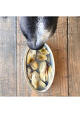 Peixe Superfood - Lata de Mexilhão de Lábios Verdes ao natural da Nova Zelândia 100% natural em conserva para cão - Canuni - 100g (Bones & Joints)