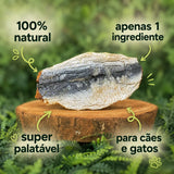 Lombos Sardinha (Sardine Loins)🐟 Desidratação suave para consumo em 15 dias. Deliciosos e nutritivos!