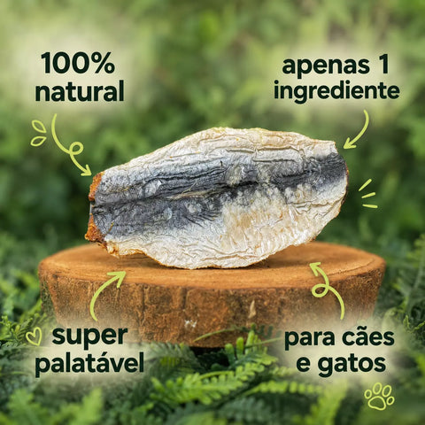 Lombos Sardinha (Sardine Loins)🐟 Desidratação suave para consumo em 15 dias. Deliciosos e nutritivos!