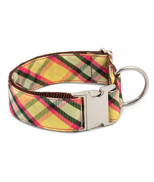 Brott Barcelona - MOLLET (New  Collection)