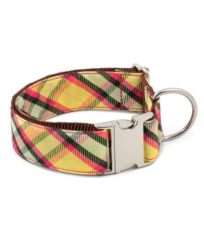 Brott Barcelona - MOLLET (New  Collection)
