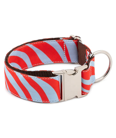 Brott Barcelona - MALNIU (New Collection)