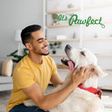 Pawfect - PUMPKIN PURGE Pumpkin Powder | Daily Topper for Dogs | 100% Natural | Enriched with Apple Pectin, Pumpkinseeds & Flaxseeds, Pre & Pro Biotics | Digestive Regularity | Firm Stool | Supports Anal Gland  (250g)
