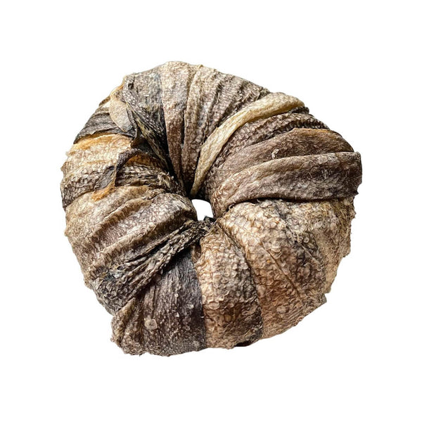 DONUTS ÓMEGA BOOST Bacalhau 8 cm 🐟 🐟 Pele & Pelo saudável