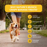 Pawfect - Treats 100% fruta fresca - Crispy Banana 🍌